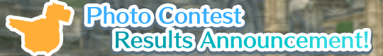 15 Million DLs Celebration Photo Contest Results Announcement! 
