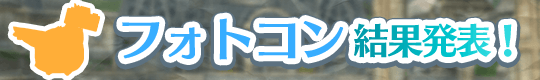 1500万DL記念フォトコンテスト 結果発表!! 