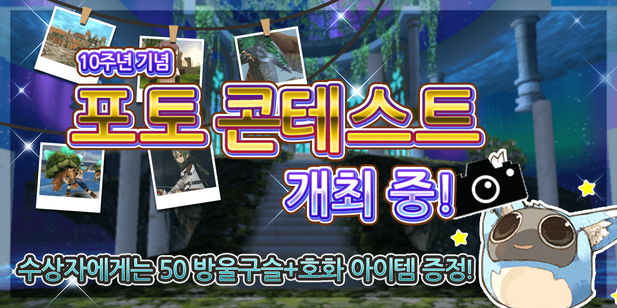 만들고 찍어서 투고하자! 10주년 기념 토람 온라인 포토 콘테스트 개최!